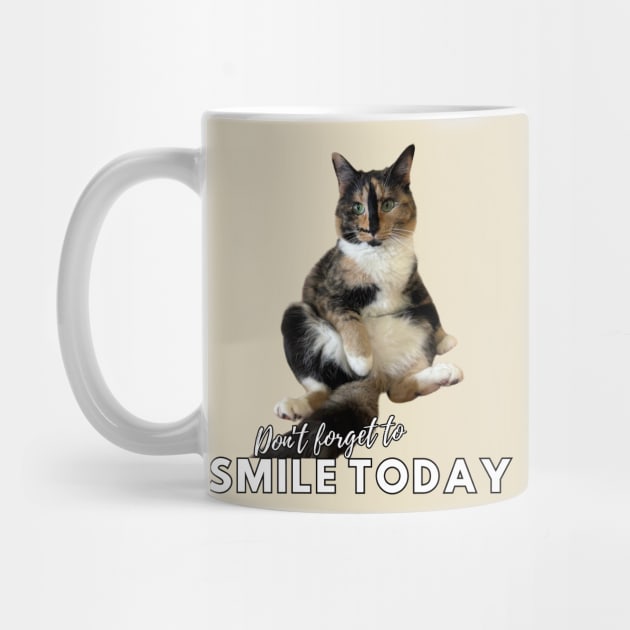 Snickers The Cat - Don't Forget to Smile Today by SnickersTheSmilingCat